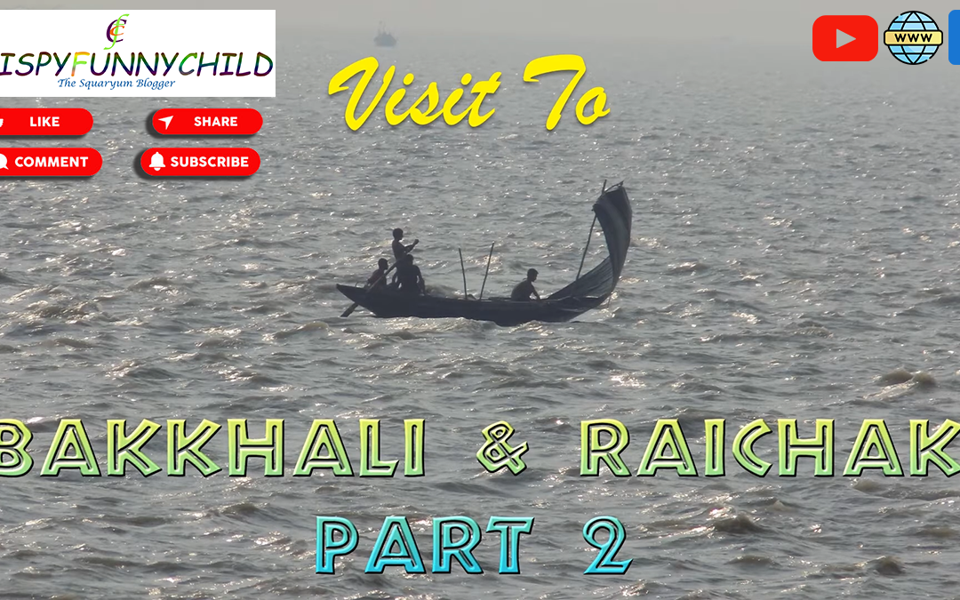 Visit To Bakkhali & Raichak Part 2